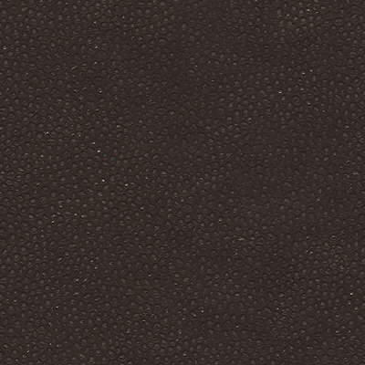 Kravet Couture EDGY SHARK.6.0 Edgy Shark Upholstery Fabric in Brown , Black , Espresso